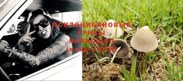 бошки Беломорск