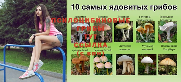 прущие крисы Белоозёрский