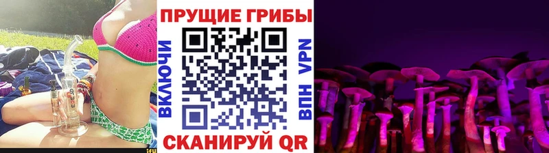 блэк спрут зеркало  Луховицы  Псилоцибиновые грибы мухоморы  хочу  
